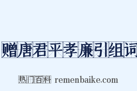 赠唐君平孝廉引组词是什么意思的图片
